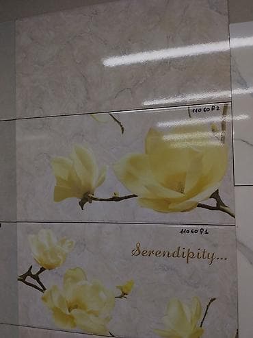 silver kitchen: Керамическая настенная плитка с декоративными панно Serendipity. - — 1