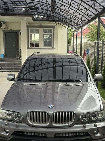 BMW X5: 2004 г., 4.4 л, Автомат, Бензин, Внедорожник