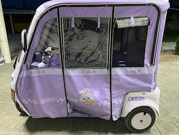 зимние обувь: Электрический трёхколёсный мини‑транспорт (рикша/трицикл) в фиолетовом — 1