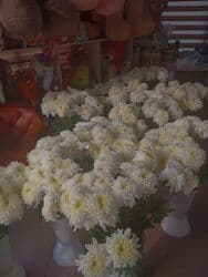 работа флориста в бишкеке без опыта: Требуется флорист. женщина от 20 до 40 лет оплата договорная — 1