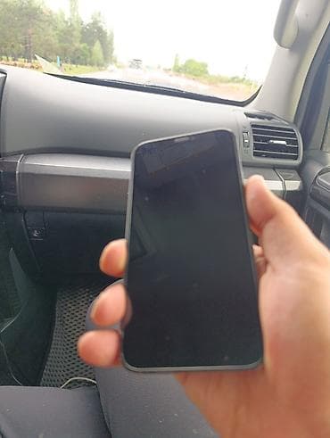 IPhone 12 Pro, Б/у, 256 ГБ, Синий