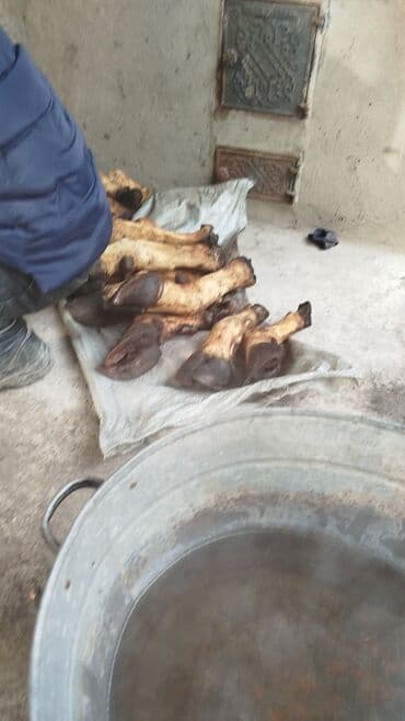 Кухонные принадлежности: Говядина : Голень — 1