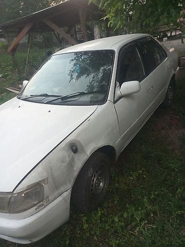 палировка авто: Toyota Corolla: 2000 г., Автомат, Седан — 1