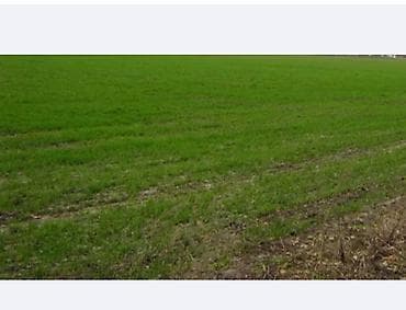 3 соток, Для сельского хозяйства, Генеральная доверенность