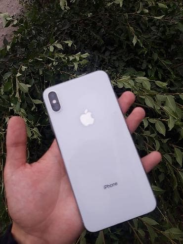 IPhone X, Серебристый