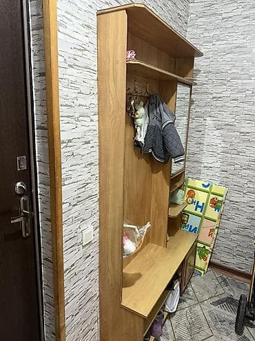 Промышленная химия: Шкаф-прихожая, С зеркалом, ЛДСП — 1