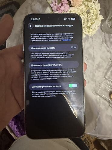 iphone 5s: IPhone 14 Pro Max, Б/у, 256 ГБ, Серебристый, Защитное стекло, Чехол, Кабель, 87 % — 8