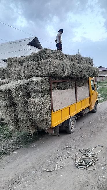 недорогой пикап бу: Легкий грузовик, Mercedes-Benz, Стандарт, 3 т, Б/у — 7