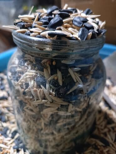 чехлы для когтей кошек: Корм для попугайчиков. А так же минеральный камушек для стачивания — 9