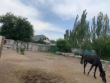 мойки: Продаётся дом с просторной планировкой. - Большая кухня-столовая с — 8