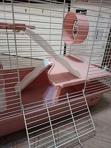 крысу: Продаем клетку почти новую, покупали для маленьких крысят. Удобная — 2
