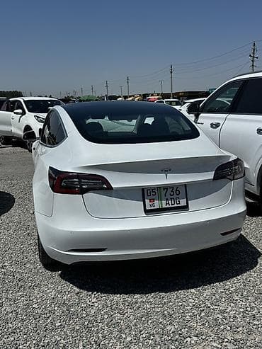 Продажа авто: Tesla Model 3: 2020 г., Вариатор, Электромобиль, Фастбек — 2