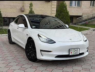 Tesla: Tesla Model 3: 2021 г., 5 л, Автомат, Электромобиль, Седан — 5