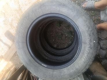 шины для автомобиля: Зимние шины Dunlop Winter Maxx 195/65 R15 91Q - Производитель: Dunlop — 1