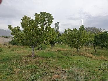 Үйлөр: 🏡 продаётся особняк в Чолпон-ате! 🏡 📍 район семетей (выше Арки — 3