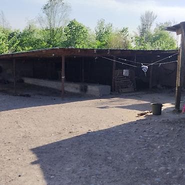 водохранилище: Продаю сарай в времянкой 2 ком зимний и летний вариант сарая и сеновал — 4