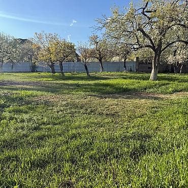 green hill: Продаётся дом с большим участком и садом. село Бостери,100 метров — 5