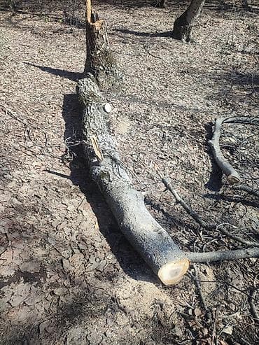 1 кг мяса цена бишкек: Отун Жаңгак — 6