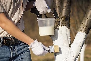 электрик бишкеке: Услуги по уходу за придомовой территорией Комплекс работ для жителей — 3