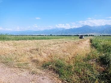кок жар ж м: 140 соток, Айыл чарба үчүн — 2