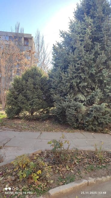 отдам в расрочку: 2 комнаты, 50 м², Индивидуалка, 15 этаж, Старый ремонт — 15