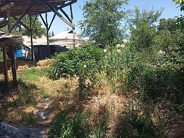 дом в новопавловка: Жилой дом с приусадебным участком В селе Петропавловка - — 4