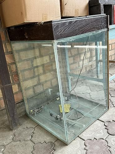 дождевик для мопса: Аквариум прямоугольный из стекла с деревянной крышкой. Особенности: - — 1