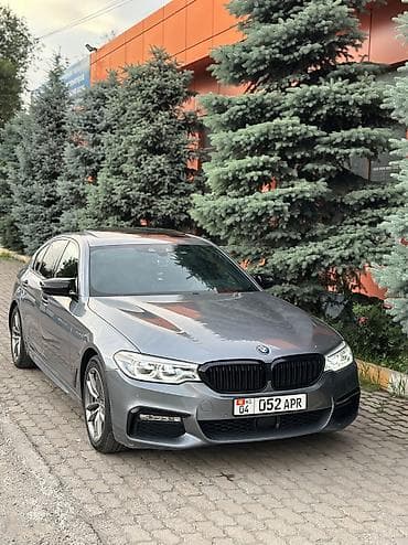 byd w6: BMW 5 series: 2018 г., 2 л, Бензин — 6