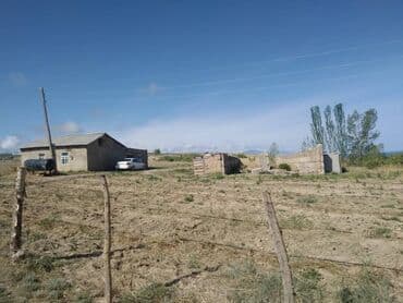 дом арча бешик аренда: 50 соток, Айыл чарба үчүн, Кызыл китеп, Техпаспорт, Сатып алуу-сатуу келишими — 4