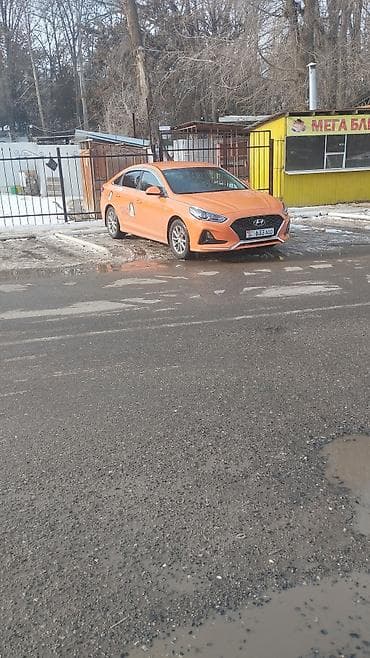 sonata: Hyundai Sonata: 2019 г., 2 л, Типтроник, Газ, Седан — 2