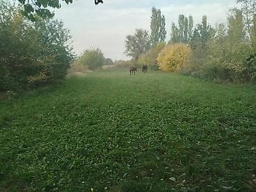 комната каракол: Үй, 85 м², 4 бөлмө — 4