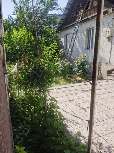 Үйдү ижарага алам: Үй, 1200 кв. м, 4 бөлмө, Менчик ээси, Косметикалык оңдоо — 6