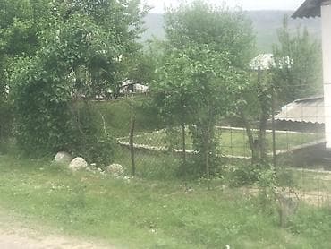 аламединское ущелье: 500 соток — 4