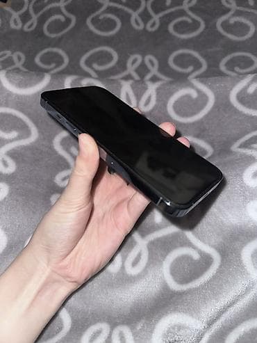 i7 9700f: IPhone 13 Pro, Графит — 2
