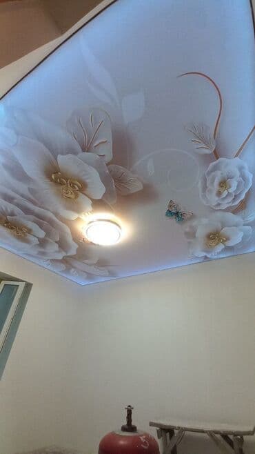 сейф пакет: Натяжной потолок жасайбыз тез жана сапаттуу 3D 1кв ом гланцывый 1кв — 8