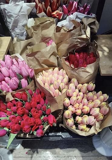 Үй жана бакча үчүн башка буюмдар: 130 — 4