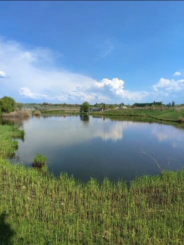 обмен кв на дом: 600 соток, Для бизнеса, Красная книга — 21