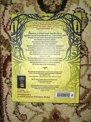 горах: Книга «Заколдованный лес. Тёмный дар» — Дж. Э. Уайт. - Язык: русский — 3