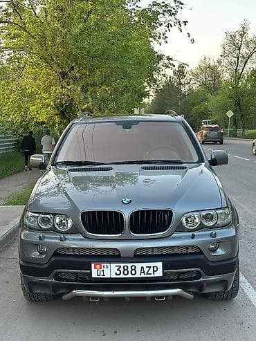 Продажа авто: BMW X5: 2004 г., 4.4 л, Автомат, Бензин, Кроссовер — 2