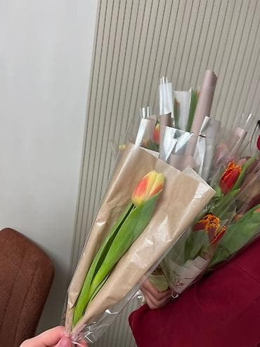 бахрома: Тюльпаны в индивидуальной упаковке - Ассортимент: однотонные и — 2