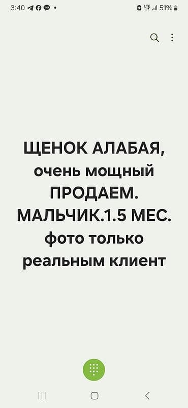 щенок тайган: Алабай, 1 месяц, Самец — 1