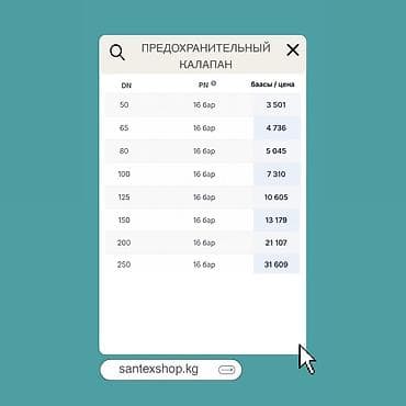 отсечка: Обратный клапан пружинный «хлопушка» C080 T.I.S Group (Италия) - Тип — 2