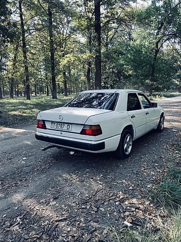 жугили кузуп: Mercedes-Benz W124: 1995 г., 2.3 л, Автомат, Бензин, Седан — 4
