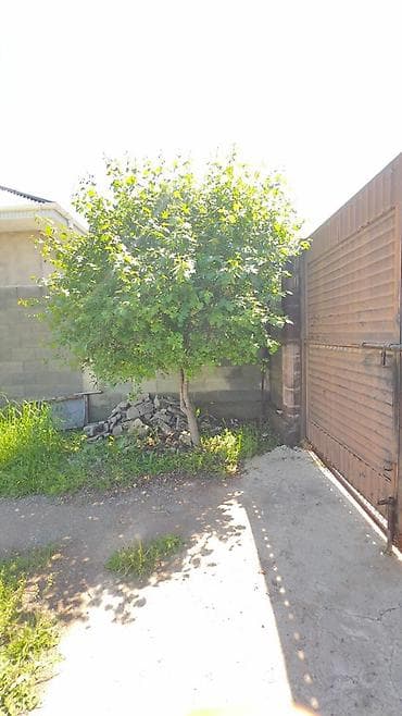 квартира бишкек жер үй: 🏡 Продаётся дом в новостройке Арашан 📍 Арашан 📄 Красная книга, договор — 2