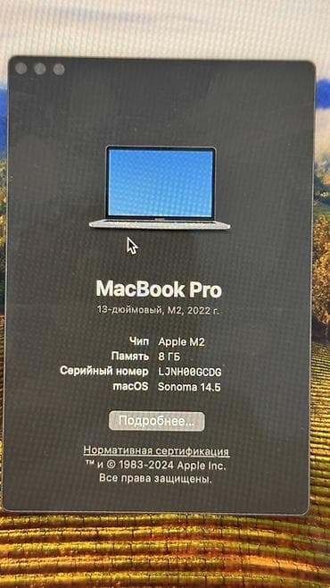 mac mini m4 купить: Apple MacBook Pro 13" (2022) с чипом M2 Характеристики: - Дисплей — 2