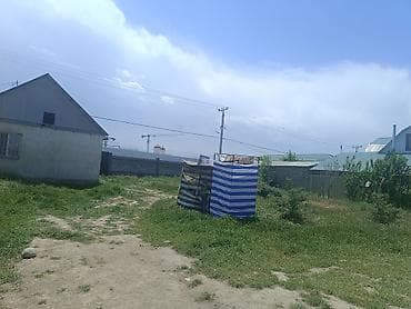 зеленный городок: 5 соток, Красная книга — 1