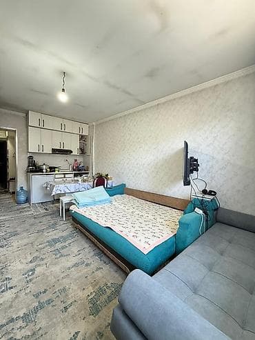 1 комната, 24 м², Элитка, 3 этаж, Косметический ремонт — 2