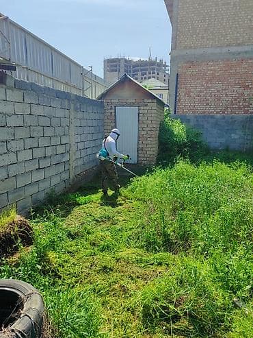 для уборки: Стрижка и формовка живых изгородей, кустарников и газонных кромок - — 4