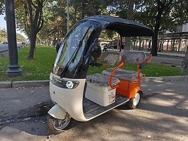 Электрический трёхколёсный пассажирский скутер BaLlet cat -