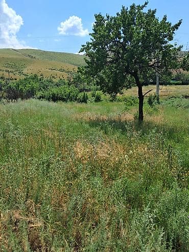кожомкул дом: 5 соток, Для сельского хозяйства — 3